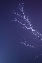 Load image into Gallery viewer, Electrified | Sonoma County, California
