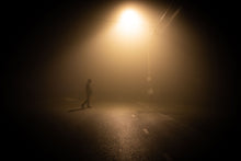 Load image into Gallery viewer, Lone Traveler | Sonoma County, California