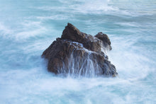 Load image into Gallery viewer, Coastal Bliss | Sonoma Coast, California