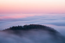Load image into Gallery viewer, Tamalpais Dreams | Mount Tamalpais, California
