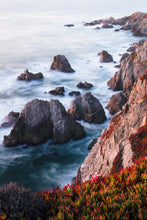 Load image into Gallery viewer, Autumn on the Coastline | Bodega Head, Bodega Bay, California
