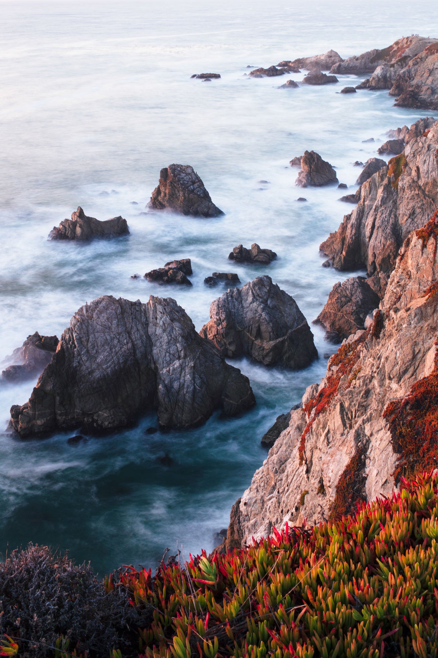 Autumn on the Coastline | Bodega Head, Bodega Bay, California